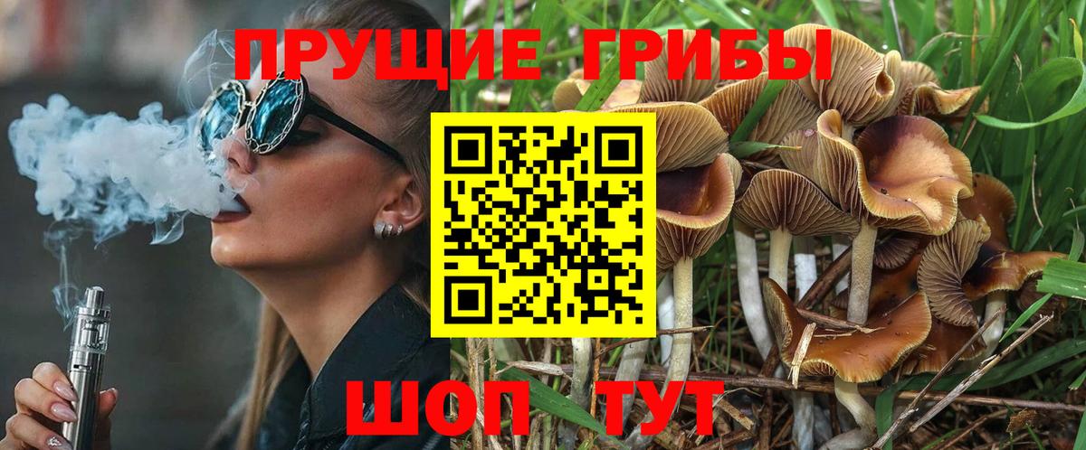 Галлюциногенные грибы Psilocybine cubensis Кунгур