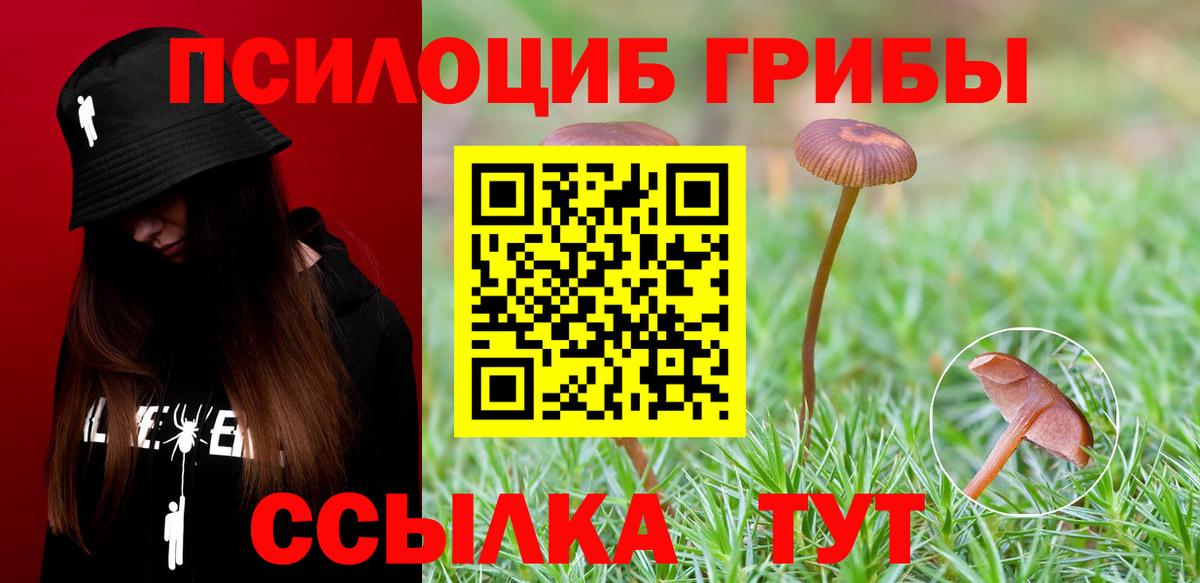 Кунгур  Галлюциногенные грибы мицелий  Вход с VPN 